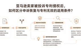 亚马逊卖家被投诉专利侵权后，如何区分申诉恢复与专利无效的适用条件？