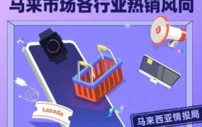 市场趋势｜Lazada生日大促后，马来西亚数码家电与健康类商品增长显著，商家可趁热上新