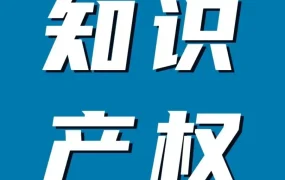 市场趋势｜亚马逊跨境品牌维权指南：商标版权专利全解析，零基础也能掌握