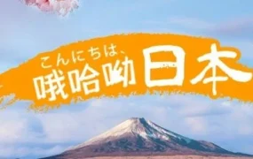 官方活动｜亚马逊深入解析日本消费文化，助力卖家精准定位