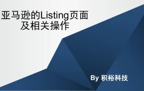 亚马逊Listing页面与关键词优化全攻略（97页）-97页
