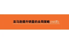 亚马逊提升销量的全局策略-169页