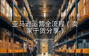 亚马逊运营全流程（卖家干货分享）-161页