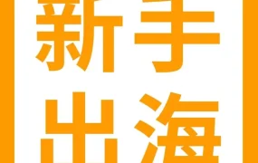 卖家故事｜3个月冲到Top50，两天大卖1000万！出海新手亚马逊美国站爆单攻略