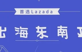卖家故事｜Lazada东南亚卖家双11大卖引关注