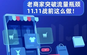卖家故事｜Lazada商家全效宝推广破局流量瓶颈，双11前单量飙升
