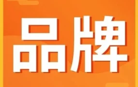 卖家故事｜Shopee上海孵化班毕业卖家分享三个月成长心得，强调沟通与爆款打造