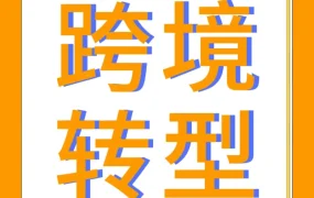 卖家故事｜传统外贸商转型亚马逊，不到一年实现百万美金销售额