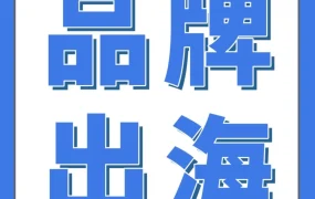 卖家故事｜入驻亚马逊首年营收31.69亿！出海大卖如何打造全球化品牌