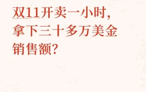 卖家故事｜品牌大卖双11首小时破30万美金，多市场拓展成增长新引擎