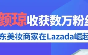 卖家故事｜无锡美颜琼贸易有限公司登陆Lazada，不到1年月均销售额突破15W美金