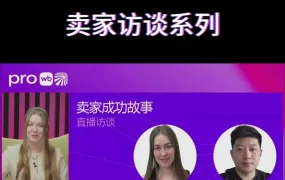 卖家故事｜跨境电商资讯｜Wildberries卖家访谈分享成功经验，聚焦平台合作与爆款打造