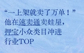 卖家故事｜速卖通娃屋爆款攻略｜万单销量｜双11爆单经验