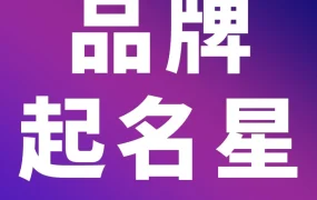 服务动态｜品牌起名新工具｜亚马逊品牌起名星新增名称创意检查功能，助力全球化品牌建设