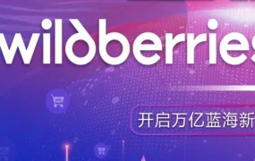 官方活动｜Wildberries 2025中国官宣大会｜星辰计划启动，平台聚焦中国市场发展与卖家支持