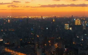 官方活动｜Wildberries中国首轮跨境电商交流会圆满落幕，卖家热情高涨