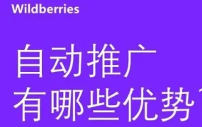 官方活动｜Wildberries自动推广助力跨境卖家销量增长