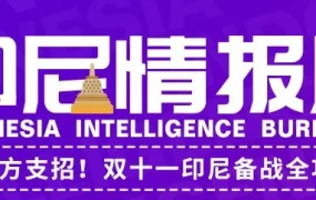 官方活动｜印尼双十一备战攻略｜Lazada情报局详解ELP机制与选品策略，流量销量双提升