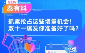 官方活动｜泰国站双十一攻略｜聚焦年轻女性与疫情后趋势，抢占数码家电、冬季服饰与IP产品增量市场