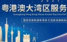 官方活动｜首届粤港澳大湾区服务贸易大会10月举办，跨境电商展区亮相珠海