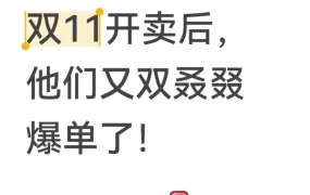 市场趋势｜AliExpress卖家双11首日爆单，新老卖家均迎流量高峰