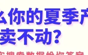 官方活动｜CD平台法国站入驻指南发布，招商团队助力新卖家布局