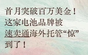 卖家故事｜ECO-WORTHY借AliExpress海外托管模式30天冲百万美金