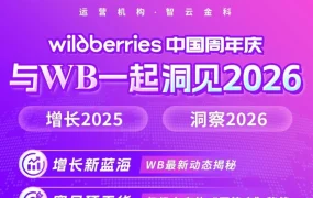 市场趋势｜Wildberries中国周年庆直播活动解析，卖家增长机会与平台策略前瞻