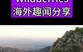 官方资讯｜Wildberries在帕米尔高原开设全球海拔最高自提点，服务18万山区居民