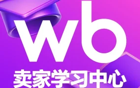 官方活动｜Wildberries推出PRO Wildberries服务，全面赋能卖家运营与增长