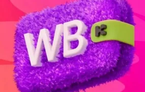 官方资讯｜Wildberries深圳招聘中国卖家运营专员，加速平台拓展与卖家增长