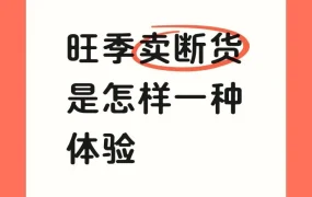 卖家故事｜旺季卖断货的库存安全之道：3柜轮转策略与资金压力解析