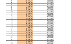 工资与年终奖最优方案组合工具-1921行-2个子表