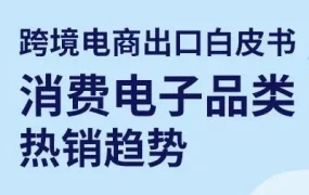 市场趋势｜2022年消费电子海外需求持续增长，四大高增速品类与TOP50榜单解析