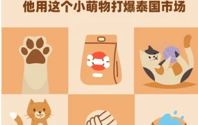 市场趋势｜MADDIE凭借宠物湿巾打爆泰国市场，Lazada推广工具助力ROI达35.28