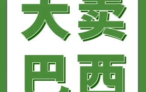 市场趋势｜QCY耳机在亚马逊巴西站年销百万，揭秘爆款打造与本地化运营方法