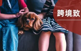 市场趋势｜ROJECO智能喂食器在韩国市场销量暴涨704%，凸显宠物消费升级趋势