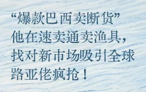 市场趋势｜SEASIR巴西市场爆单，销售额翻四倍始于2023