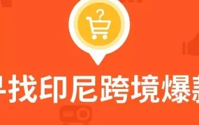 市场趋势｜Shopee印尼站母婴与电子品类增长迅猛，童鞋与制冷产品成核心爆款