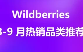 市场趋势｜Wildberries 开学季爆品清单：电脑销量预增 88%，十大类目备货指南与流量策略