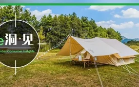 市场趋势｜eBay 揭秘美国夏日六大消费场景，匹克球与轻量户外品类爆发