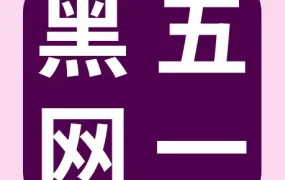 市场趋势｜eBay黑五网一中国卖家热销品类曝光，GMV增长5-6倍展现平台爆发力