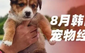 市场趋势｜中国宠物用品火遍韩国，未来十年宠物市场规模有望达6万亿韩元