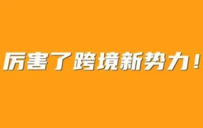 市场趋势｜中国跨境新势力撕掉代工标签，产品与品牌双驱动打造国际影响力