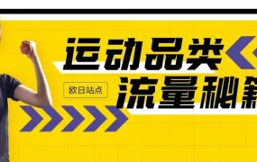 市场趋势｜亚马逊欧日站运动户外品类300亿销售潜力解析