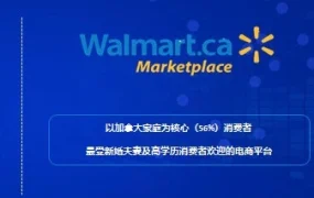 市场趋势｜加拿大电商旺季备货策略与品类洞察