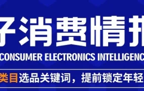 市场趋势｜双11东南亚消费电子选品指南：手机壳、空气净化器、空气炸锅成增长主力