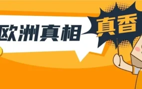 市场趋势｜合规与VAT代扣助力卖家稳健增长