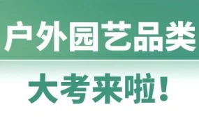 市场趋势｜户外园艺旺季将至，澳洲市场黄金切入季明确