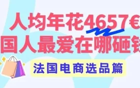 市场趋势｜法国人均网购 4657 欧元，第三方卖家占比 32%，Cdiscount 与 Octopia 成出海首选